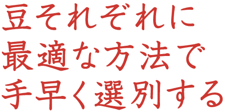豆それぞれに最適な方法で手早く選別する
