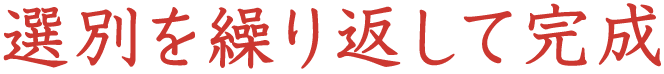 選別を繰り返して完成